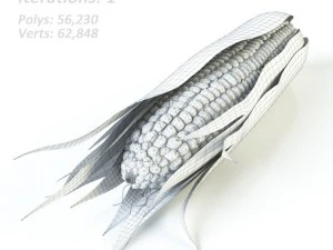 corn 3D Model