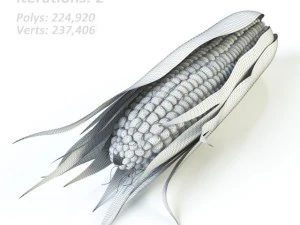 corn 3D Model