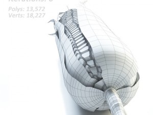 corn 3D Model