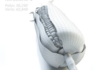 corn 3D Model