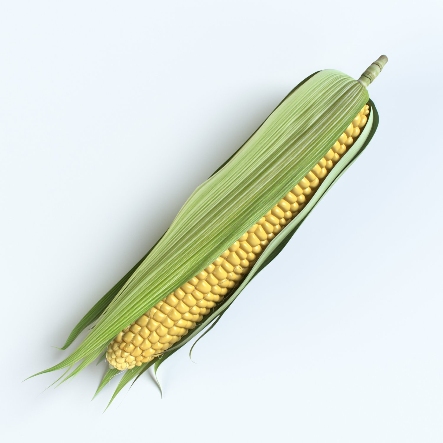 Corn 3D Model in Vegetable 3DExport