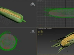 corn 3D Model