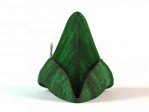 robin hood hat 3D 模型