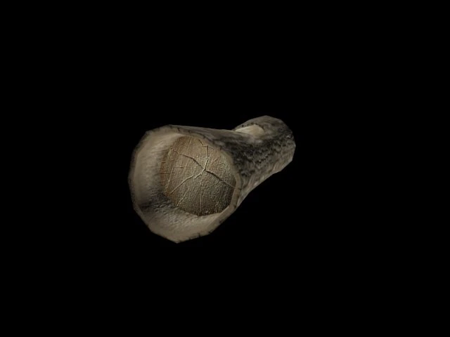wooden log 3D Model .c4d .max .obj .3ds .fbx .stl .blend