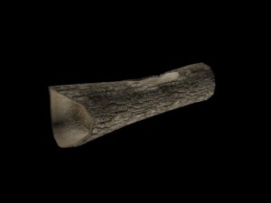 wooden log 3D Model
