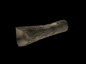 wooden log 3D Model