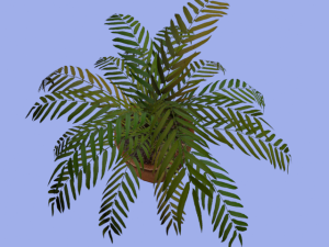 palm grass pottery 3D 모델