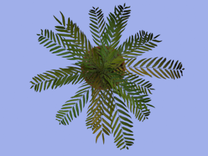 palm grass pottery 3D 모델