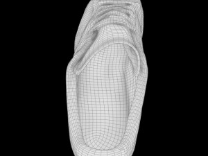 tennis shoe Modelo 3D