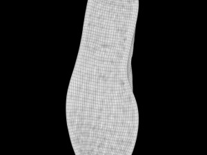 tennis shoe Modelo 3D