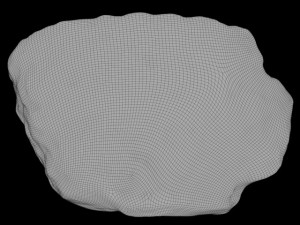 california rock Model 3D
