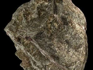 california rock 2 3D Model