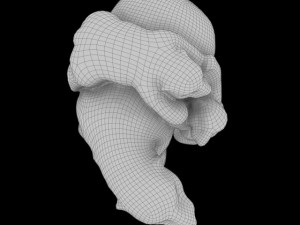polar bear and cubs 3Dモデル