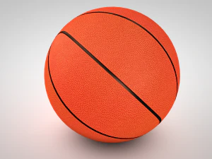 koszyk&oacute;wka Model 3D