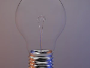 light bulb 3D Model