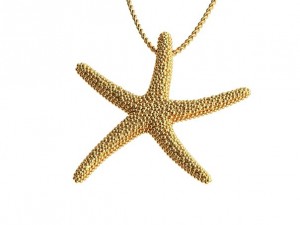 starfish 3D Print Model