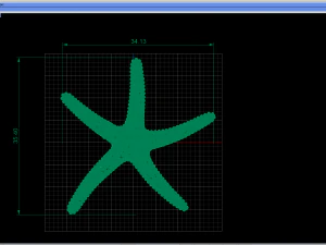 starfish 3D Print Model