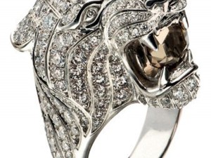 carrera lion ring 3D 打印模型