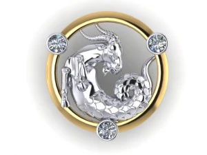 capricorn 3D Print Model