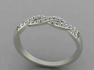 pigtail ring 3D Print Model