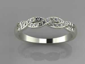 pigtail ring 3D Print Model