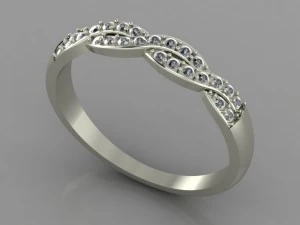 pigtail ring 3D Print Model