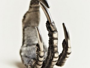 claws ring Modelo de Impressão 3D