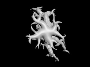 creepy tree driftwood 4 3D Model