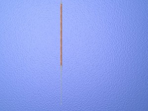three pilums 3D 模型
