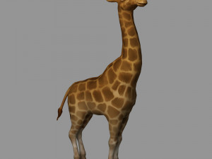 giraffe Modelo 3D