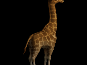 giraffe Modelo 3D
