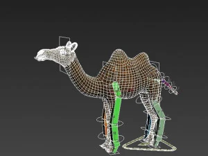 верблюжий низькополігональний 3D Модель