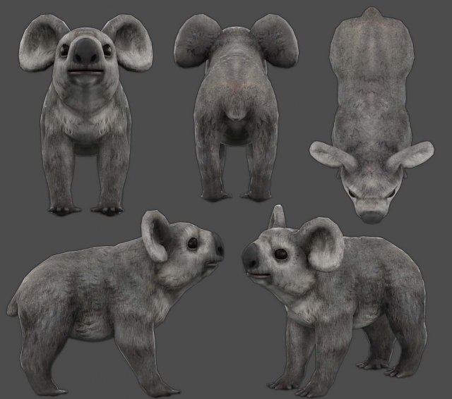 koala low-poly Modello 3D .c4d .max .obj .3ds .fbx .stl .blend 