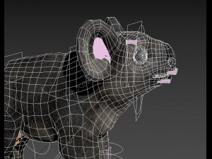 koala low-poly Modello 3D
