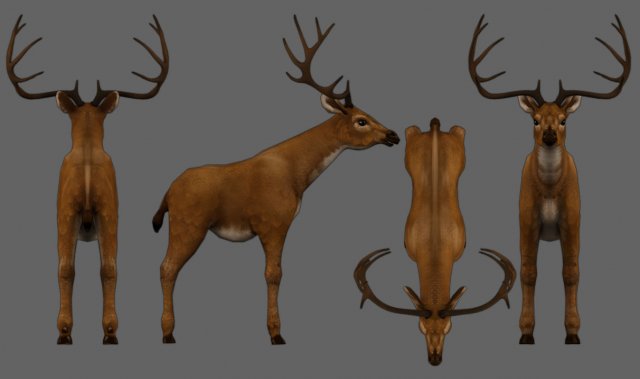 deer animal low-poly 3D मॉडल .c4d .max .obj .3ds .fbx .stl .blend 