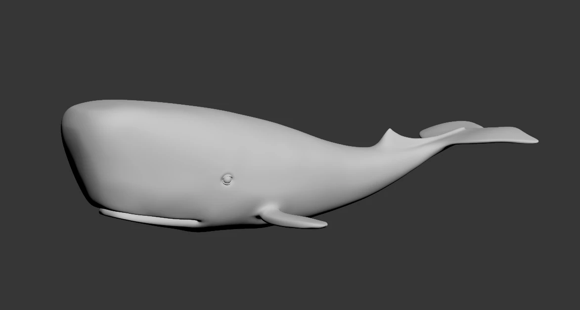 whale high poly 3D Model .c4d .max .obj .3ds .fbx .stl .blend 