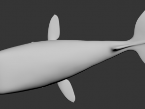 whale high poly 3D मॉडल