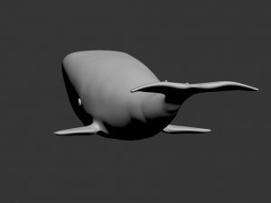 whale high poly 3D मॉडल