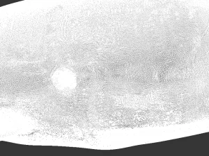 whale high poly 3D Model