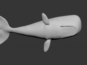 whale high poly 3D मॉडल