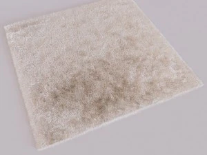carpet 3D Model