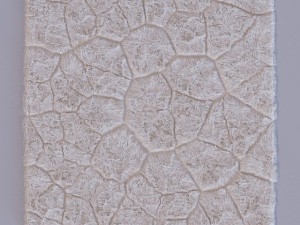 carpet Modelo 3D