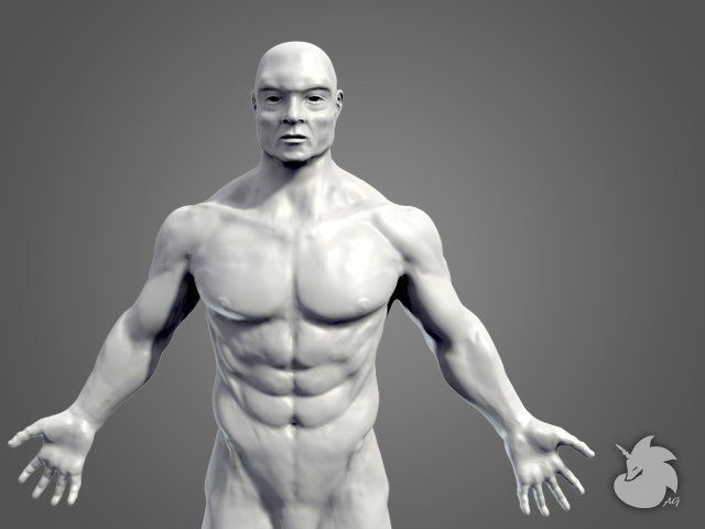 muscular base mesh 3D Model .c4d .max .obj .3ds .fbx .stl .blend 