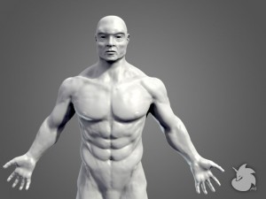 muscular base mesh Modelo 3D