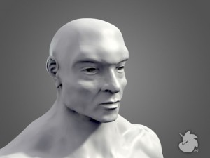muscular base mesh 3D Model
