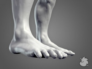 muscular base mesh 3D Model
