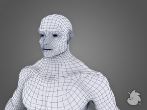 muscular base mesh 3D Model