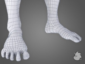 muscular base mesh 3D Model
