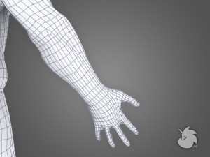 muscular base mesh 3D Model