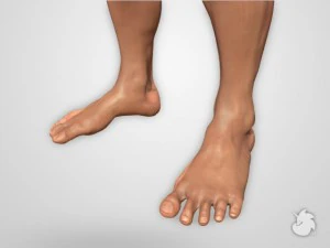 next gen warrior 3D Model